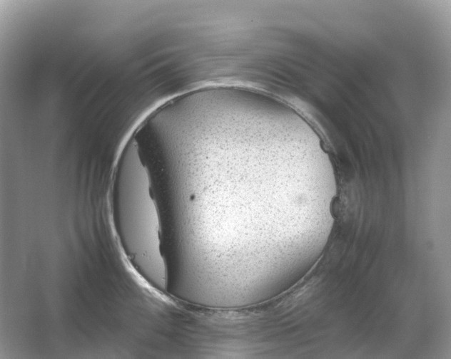 X0000064751100200602241826