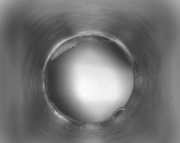 X0000064751102200602241826