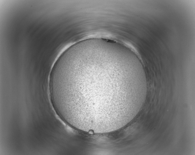 X0000064751103200602241826