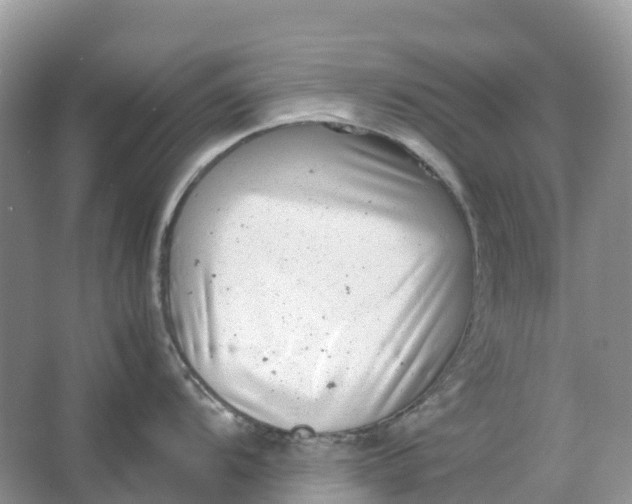 X0000064751104200602241826