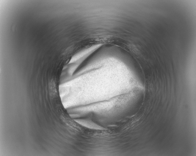 X0000064751106200602241825