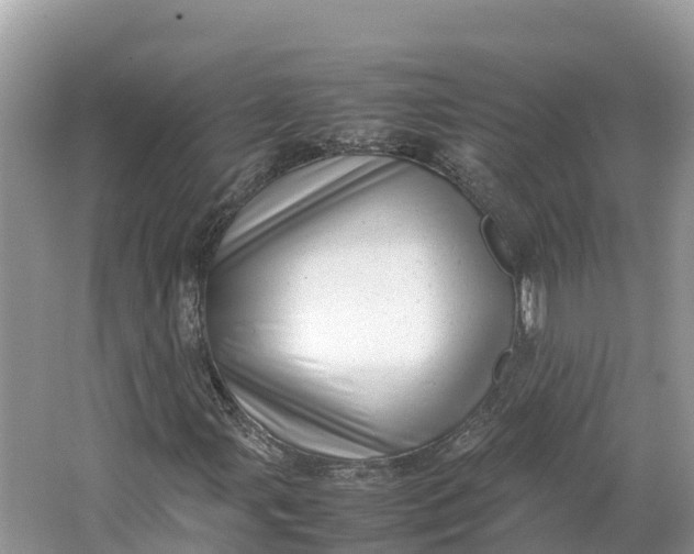 X0000064751107200602241825