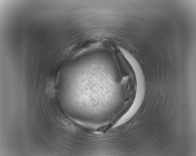 X0000064751108200602241825