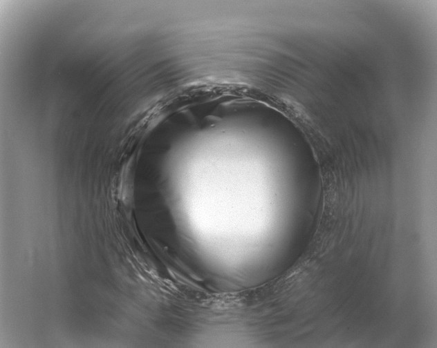 X0000064751110200602241825