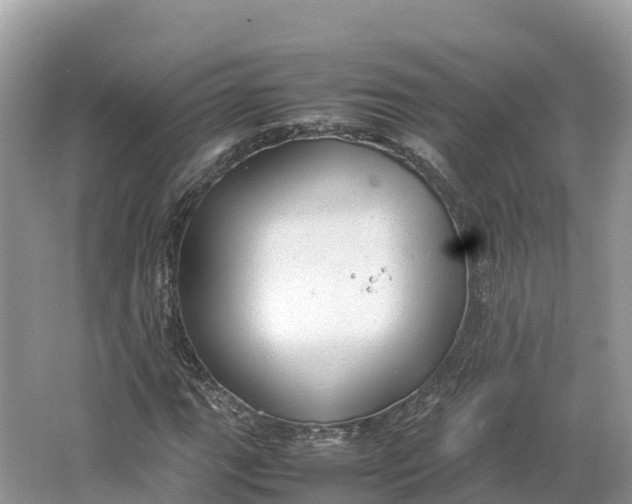 X0000064751111200602241825