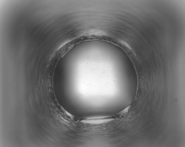 X0000064751112200602241825