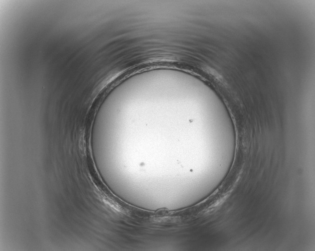 X0000064751113200602241825