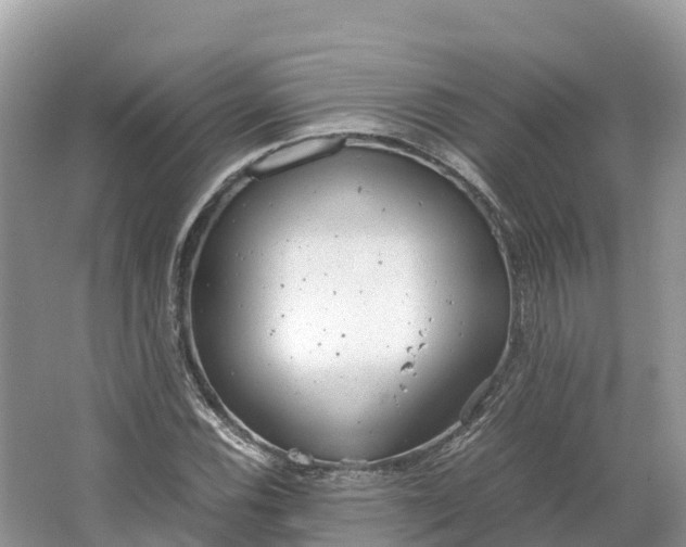 X0000064751116200602241825