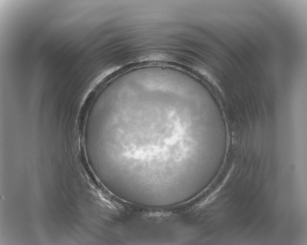 X0000064751117200602241825