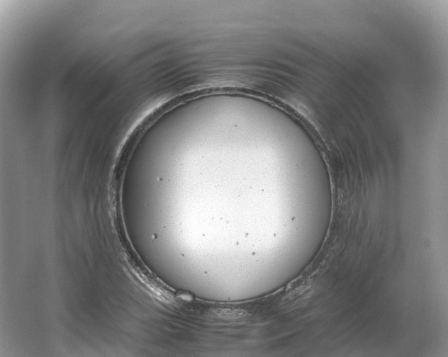 X0000064751119200602241825