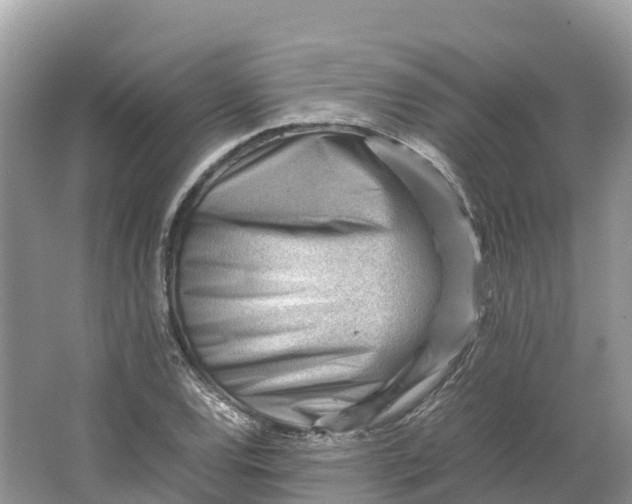 X0000064751120200602241825