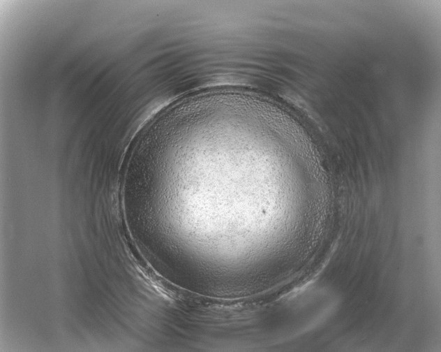 X0000064751121200602241825