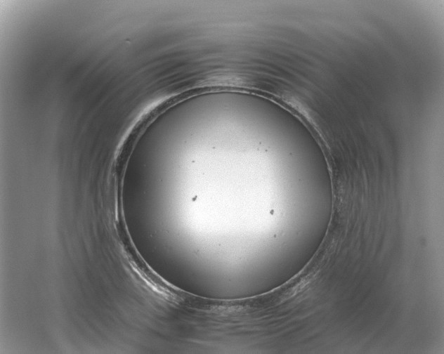 X0000064751123200602241825