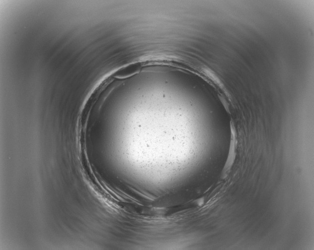 X0000064751124200602241825