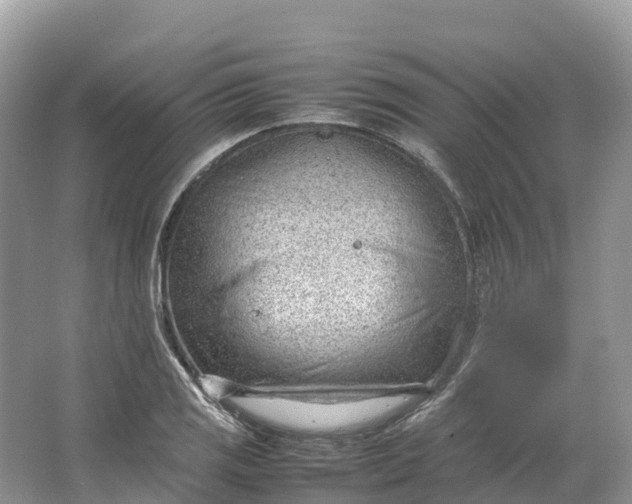 X0000064751125200602241825