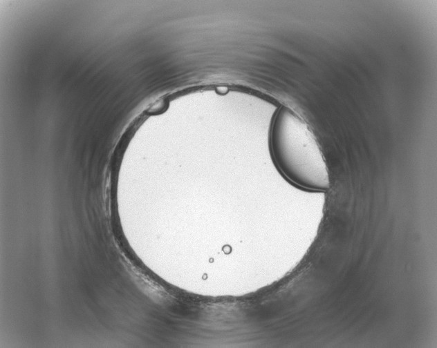 X0000064751126200602241825