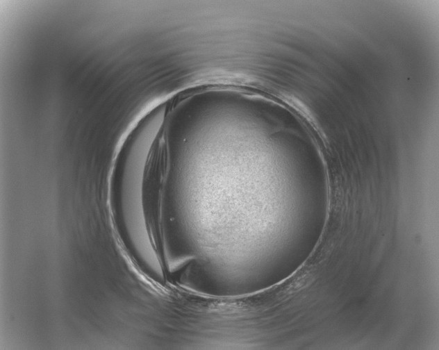 X0000064751128200602241825