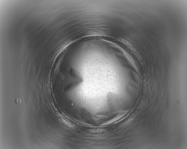 X0000064751129200602241825