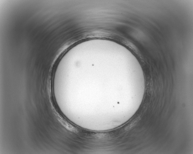 X0000064751130200602241825