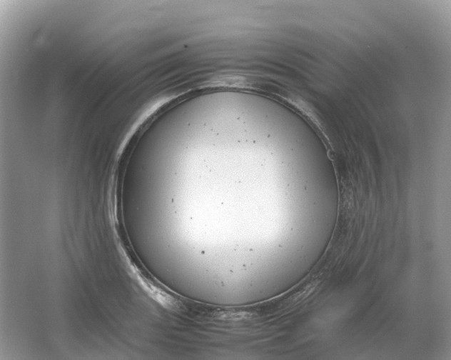 X0000064751131200602241826