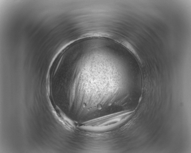 X0000064751132200602241826