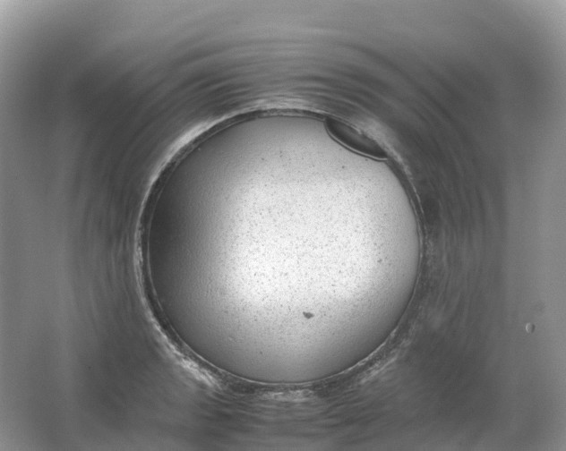 X0000064751133200602241826