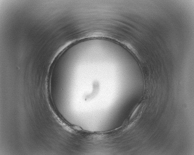 X0000064751134200602241826