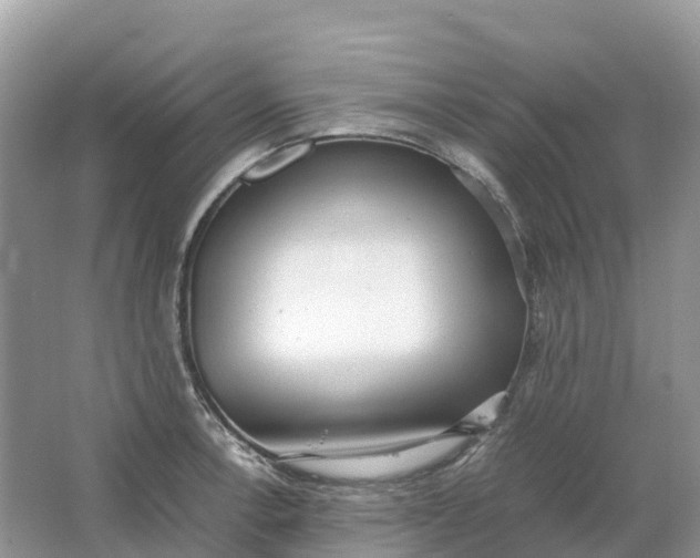 X0000064751138200602241826