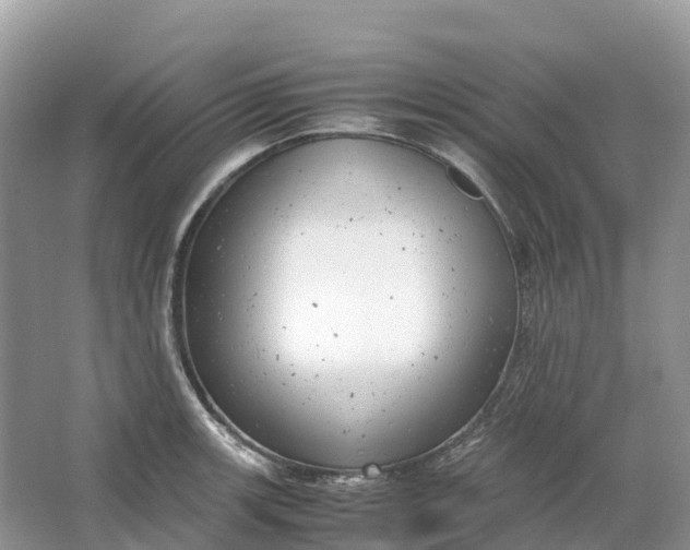 X0000064751139200602241826