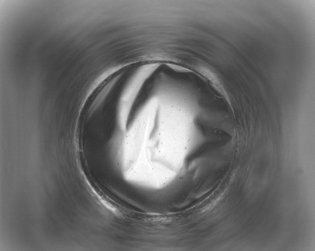 X0000064751141200602241826