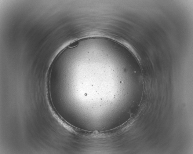 X0000064751142200602241826