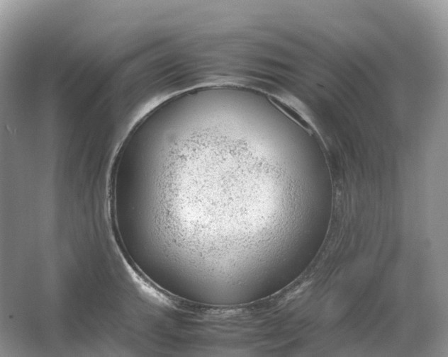 X0000064751143200602241826