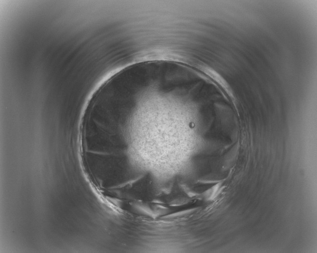 X0000064751144200602241826