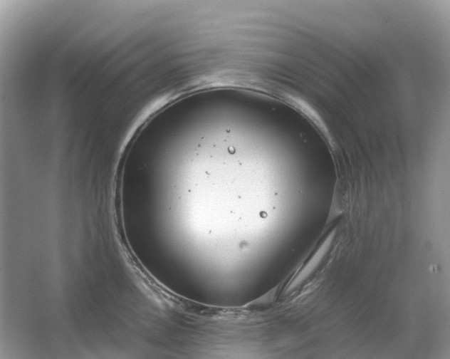 X0000064751146200602241826