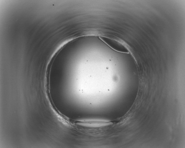 X0000064751147200602241826