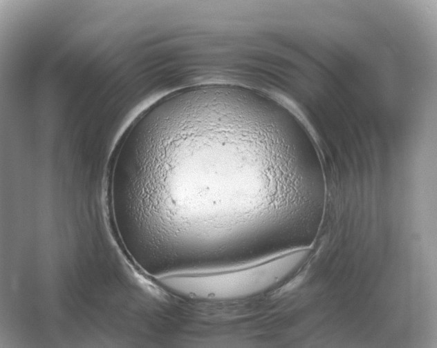 X0000064751149200602241826