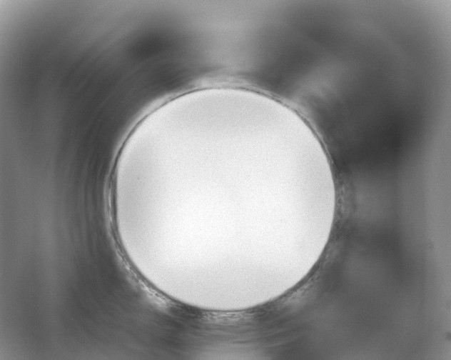 X0000064751150200602241826