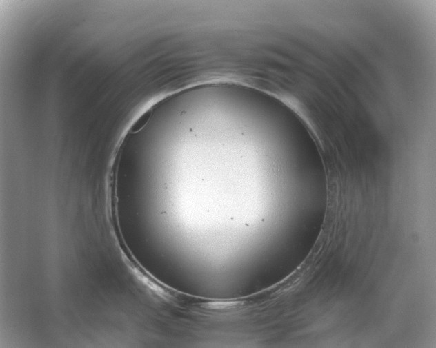 X0000064751151200602241826