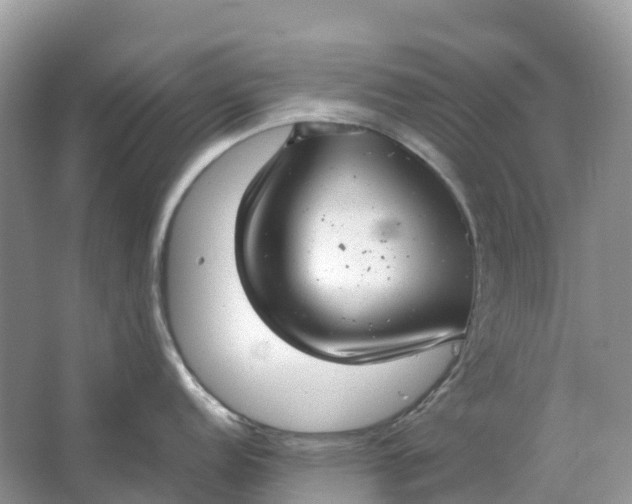 X0000064751152200602241826