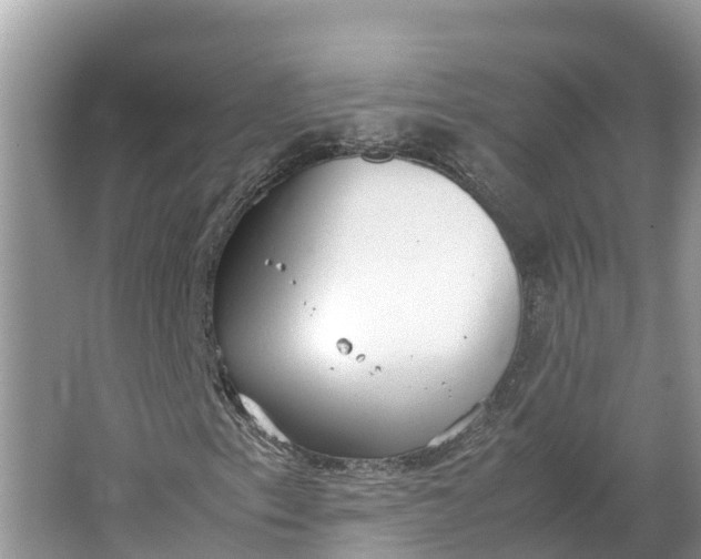 X0000064751153200602241825