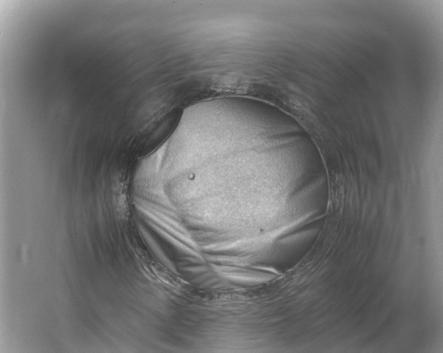 X0000064751154200602241825