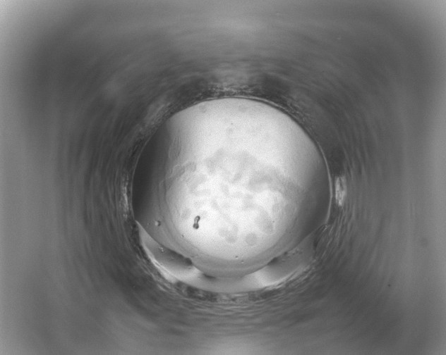 X0000064751155200602241825