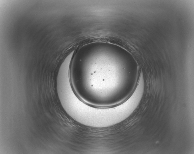 X0000064751156200602241825