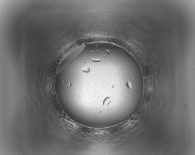 X0000064751157200602241825