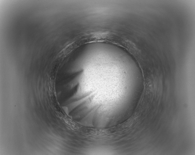 X0000064751158200602241825