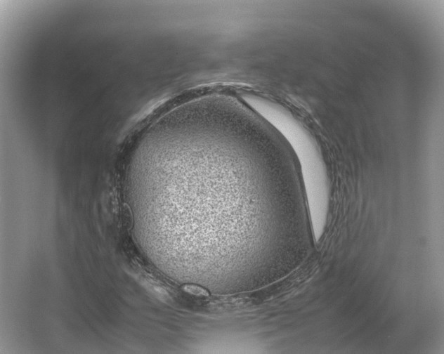 X0000064751159200602241825