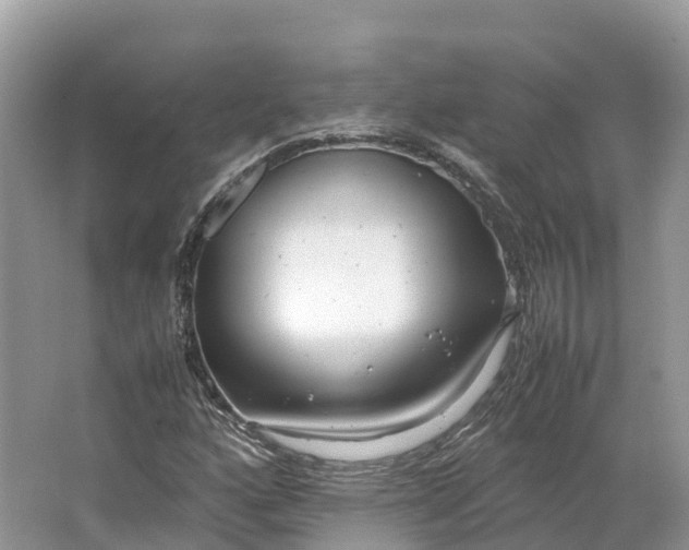 X0000064751160200602241825