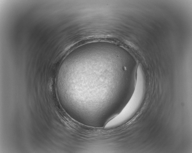 X0000064751161200602241825