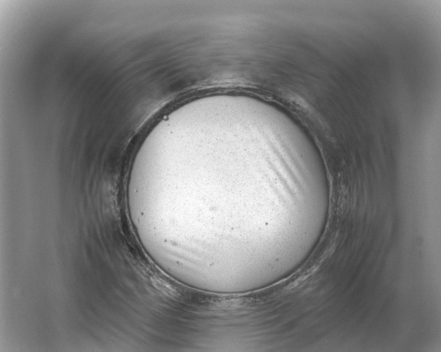 X0000064751162200602241825