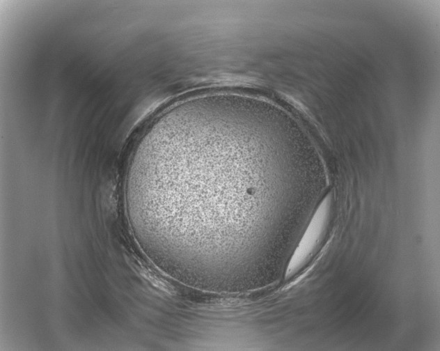 X0000064751163200602241825